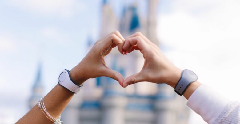 Heart hands in front of Cinderella castle