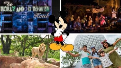 tower of terror, pirates, lion, spaceship earth