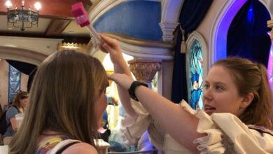 Pixie Dust, Magic Kingdom