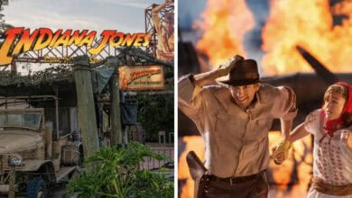 Indiana Jones Epic Stunt Spectacular!