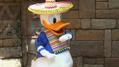 A cartoon duck reminiscent of Disney characters wears a colorful sombrero and poncho, standing cheerfully in front of a textured stone wall. With a large orange beak and striped blue accents, this vibrant character would feel right at home in Walt Disney World.