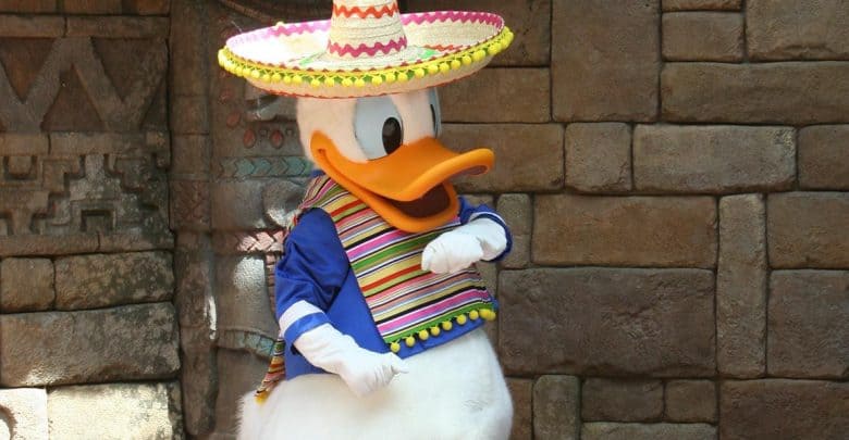 A cartoon duck reminiscent of Disney characters wears a colorful sombrero and poncho, standing cheerfully in front of a textured stone wall. With a large orange beak and striped blue accents, this vibrant character would feel right at home in Walt Disney World.