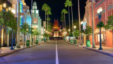 Disney's HOllywood Studios at night