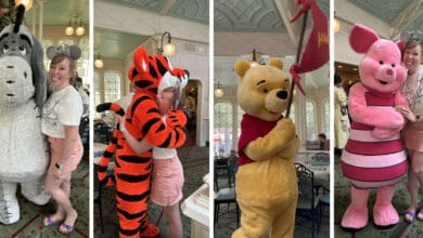 The Crystal Palace Characters, Magic Kingdom