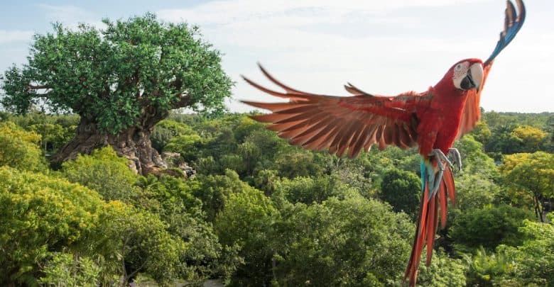 A vibrant red macaw flies above lush green trees, with a large, intricately designed artificial tree structure visible in the background—one of the Animal Kingdom Must-Do Experiences under a clear sky.