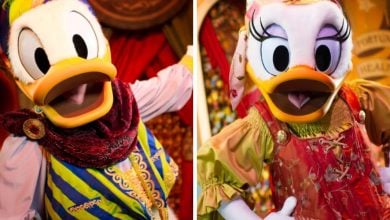 Two animated characters resembling a duck couple, dressed in colorful, elaborate costumes reminiscent of Minnie Mouse's signature style. The left character wears a blue and yellow striped outfit with a purple scarf, while the right character sports a red and green dress with a patterned headscarf.