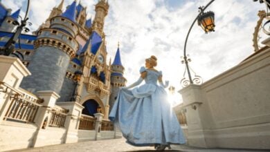 Cinderella in Disneyland