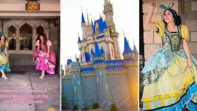 Cinderella's stepsister and Disneyland Castle
