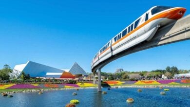 The Disney World monorail glides above vibrant flower beds and futuristic pavilions, iconic in park rivalry debates.