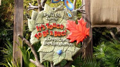 A colorful sign shaped like leaves and branches reads, "The Tree of Life Theater presents It's Tough to Be a Bug! A Creepy Crawly Bug-Eyed Adventure," with bug and leaf decorations around it.