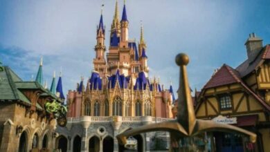 A view of a fairytale castle with pink walls and blue spires, surrounded by fantasy-themed buildings, with a sword in a stone in the foreground under a blue sky.