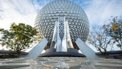Low-angle view of a large geodesic sphere with a triangular pattern, surrounded by trees under a blue sky with wispy clouds. The foreground features a textured walkway leading up to the sphere.