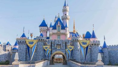 Sleeping beauty castle