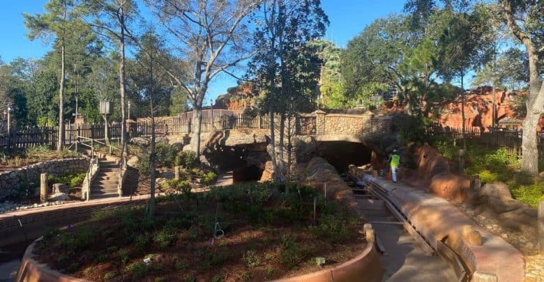 Disney Tiana Bayou Adventure