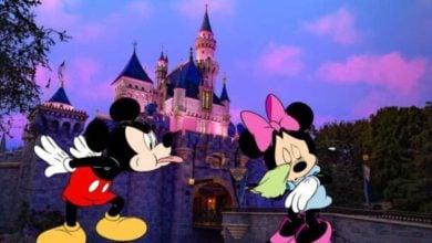 Disneyland Mickey and Minnie