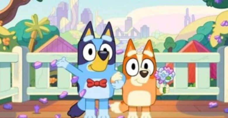 Doctors Praise Bluey