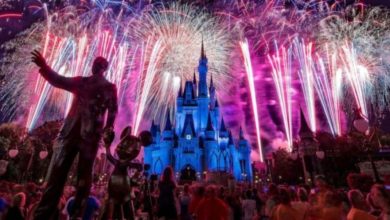 Walt Disney Fireworks