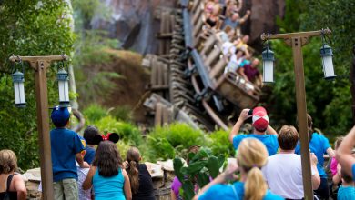 A group of people in blue shirts watch and take photos—as a roller coaster with screaming riders passes by—surrounded by greenery and lantern posts, unaware that one of the top guest pet peeves is having their view blocked during the action.