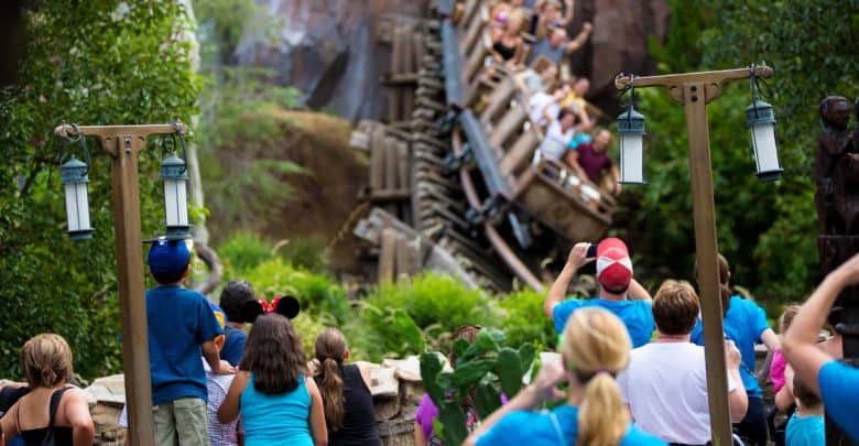 A group of people in blue shirts watch and take photos—as a roller coaster with screaming riders passes by—surrounded by greenery and lantern posts, unaware that one of the top guest pet peeves is having their view blocked during the action.
