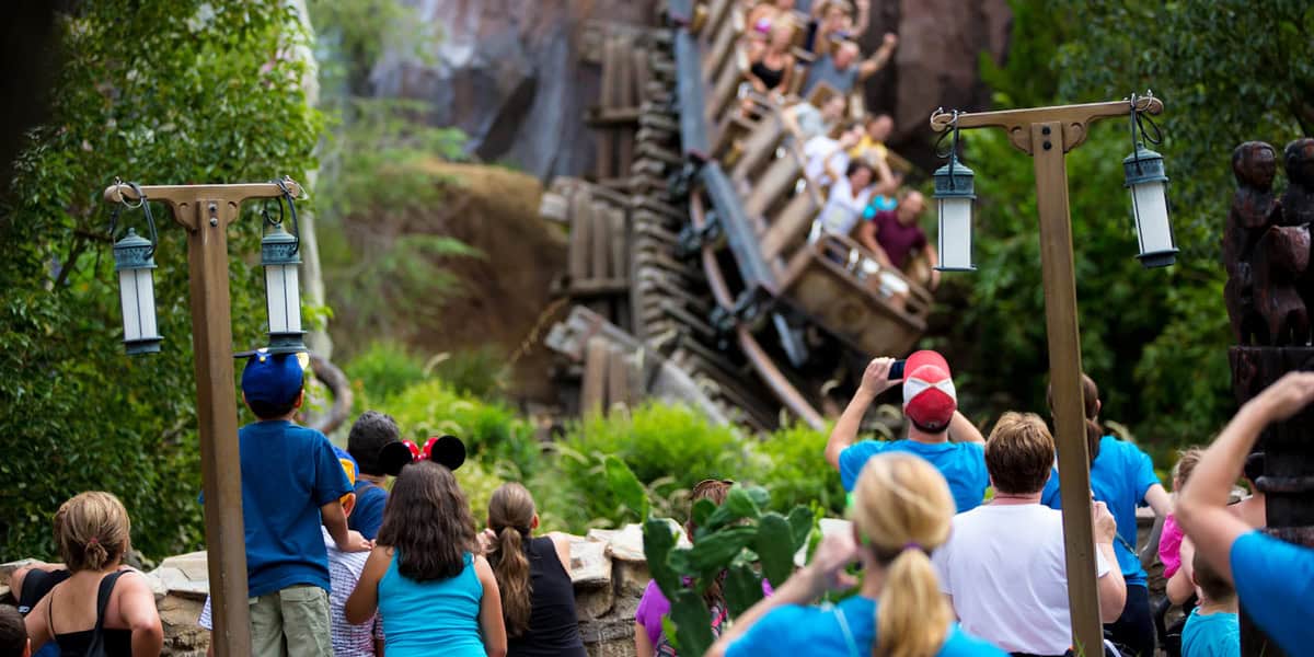 A group of people in blue shirts watch and take photos—as a roller coaster with screaming riders passes by—surrounded by greenery and lantern posts, unaware that one of the top guest pet peeves is having their view blocked during the action.