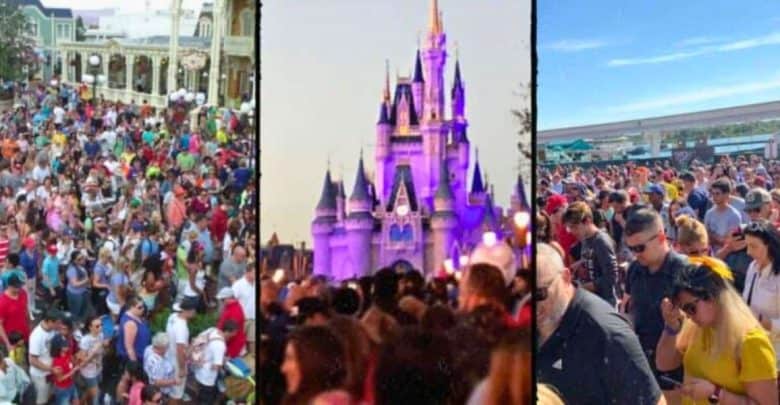Three photos showing crowds at Walt Disney World Resort and other theme parks on bright, sunny summer days.