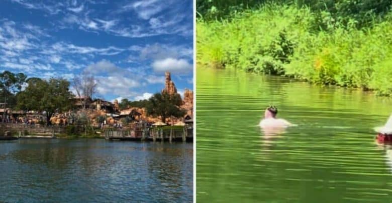 Left side: A scenic view of the Magic Kingdom theme park with a lake in the foreground and various buildings and attractions in the background under a partly cloudy sky. Right side: A person swimming in greenish water near lush vegetation on a sunny day.