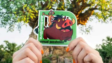 Person holding a Walt Disney World Annual Passholder sticker featuring Timon and Pumbaa from The Lion King, with a tree in the background. The person's nails are painted orange.