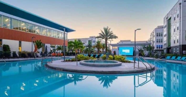 Disney Flamingo Crossings
