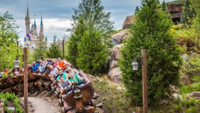 A colorful roller coaster filled with excited passengers winds through a lush, green landscape with trees and rocks. In the background, a distant fairy-tale castle at Walt Disney World rises against a partly cloudy sky. The scene is vibrant and lively, evoking an amusement park.