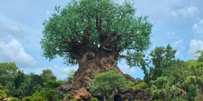 The Ultimate List of Must Get Disney Photos