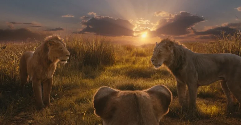 Three lions stand in a grassy field at sunset, with lush vegetation around them. The sun is setting on the horizon, casting a warm glow over the scene and highlighting the clouds in the sky.
