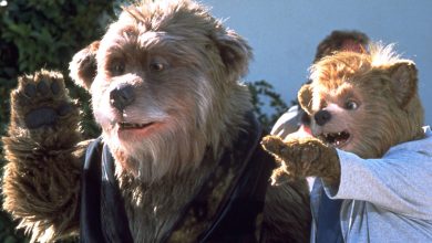 Two people wearing realistic bear costumes stand outdoors. One bear, dressed in a black vest, waves while the other, in a gray hoodie, points excitedly at something off-camera. Greenery is visible in the background.