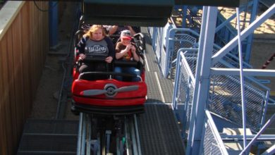 Families on Goofy's Sky School