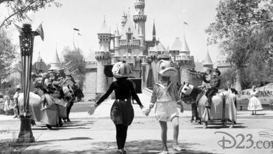 Two people in vintage Donald Duck costumes walk hand-in-hand in front of Sleeping Beauty Castle at Disneyland, with band members on horseback and park guests in the background. The image is in black and white.