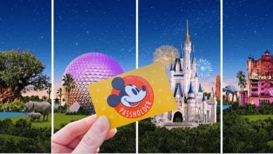 A hand holds a Walt Disney World passholder card in front of icons from the four Disney parks: Tree of Life, Epcot sphere, Cinderella Castle, and Hollywood Tower Hotel, with fireworks in the background.