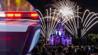 A split image shows police car lights flashing on the left, and a crowd watching fireworks above a brightly lit castle at night on the right.
