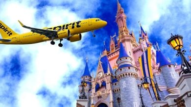A vibrant image shows a yellow Spirit Airlines plane with visible flames, flying near a fantasy castle reminiscent of Walt Disney World, complete with blue spires and ornate detailing. Fluffy clouds and a bright blue sky fill the background.