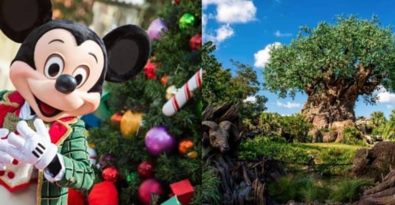 The image is split in two: on the left, Mickey Mouse in festive attire stands in front of a decorated Christmas tree; on the right, a large artificial tree rises above lush greenery in a sunny park setting.