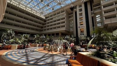 Sunny indoor atrium with palm trees, fountain, and seating—buzzing with guests fueling up for Disney adventures at MCO.