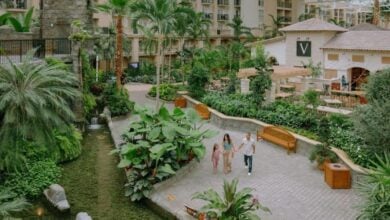 Guests explore tropical paths lined with palms and a winding stream in the extravagant indoor gardens of an Orlando resort.
