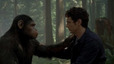 A man and a chimpanzee share a playful moment in a lush forest, evoking the excitement of an immersive adventure attraction.
