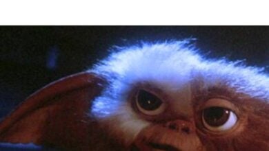 Gizmo stands in moody blue lighting, his oversized ears and bright eyes capturing the magical, suspenseful vibe fans crave from Gremlins encounters at Warner Bros. Studio Tour—if only the long-awaited Gremlins 3 experience would debut.