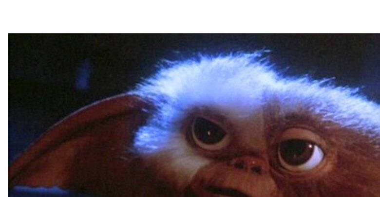 Gizmo stands in moody blue lighting, his oversized ears and bright eyes capturing the magical, suspenseful vibe fans crave from Gremlins encounters at Warner Bros. Studio Tour—if only the long-awaited Gremlins 3 experience would debut.