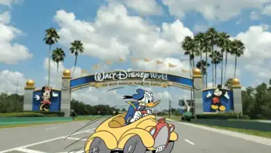 Donald Duck driving toward the Walt Disney World entrance archway.