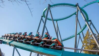 A Six Flags roller coaster train climbs the lift hill toward a massive loop.