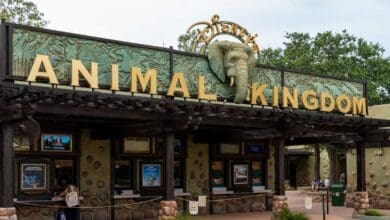Entrance to Disney’s Animal Kingdom.