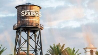 The Disney Springs water tower, standing as a symbol of the destination’s identity.