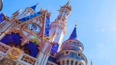 Cinderella Castle towering over the Magic Kingdom ferry boat landing.