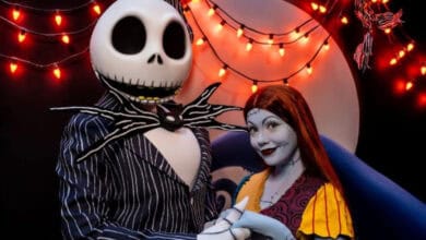 Jack Skellington and Sally watching Halloween fireworks at Disneyland.