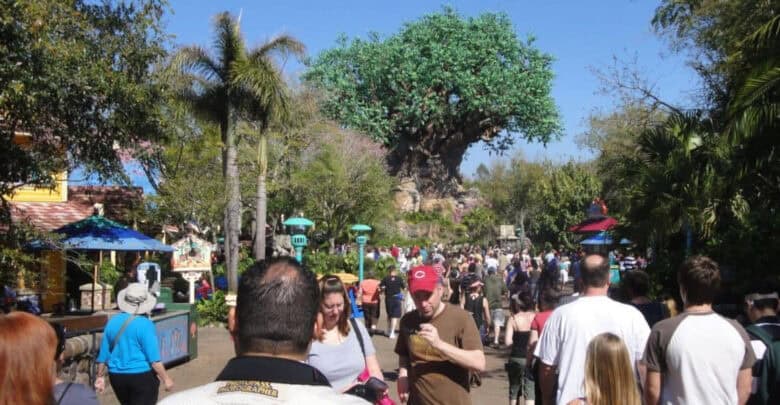 Guests head toward the Tree of Life at Disney’s Animal Kingdom.